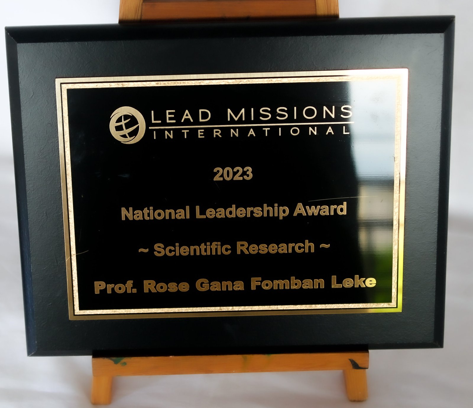 National Leadership Award Scaled